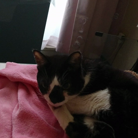 ふと思ったこと☆の画像