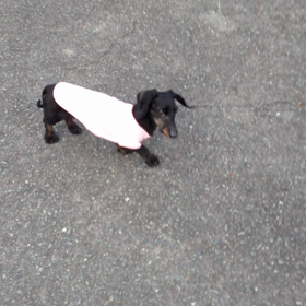 来週の今日はの画像