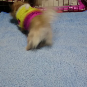 夜になると…の画像