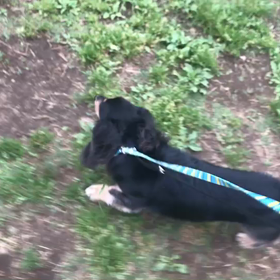 ♪お散歩動画♪代々木公園♪の画像