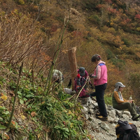 シシウドヶ原の画像