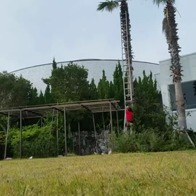 ホテルベルヴェデーレでの仕事の結果の画像