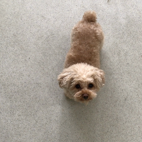 ♪プレイルーム動画♪②の画像