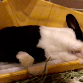 バブーの1年前の画像