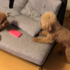 あ、ちくわが…の画像