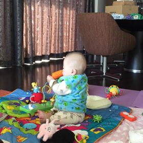 とうちゃん、屋久島のマラソン大会だってよ。の画像