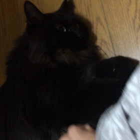 たまら〜ん♡♡♡の画像