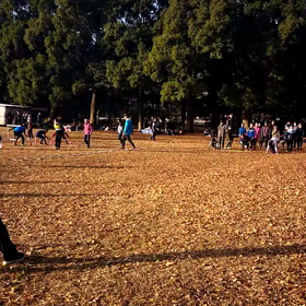 ダッシュ⑤の画像