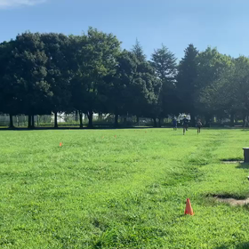 9月5日 400インターバル ゴール付近①の画像