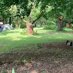 400mインターバル⑤の画像