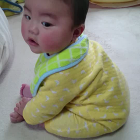 お座りの練習の画像