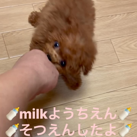 ❤️決まりました❤️みみちゃん❤️の画像