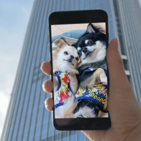 たまらん❤️の画像