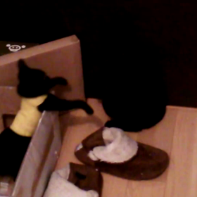 本気？遊び？の画像