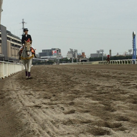 あと3レース(^^)の画像