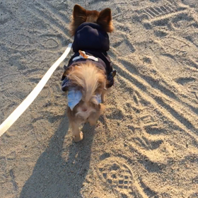 ☆安心してください 履いてますょ♪☆の画像