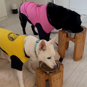 週末ですねの画像