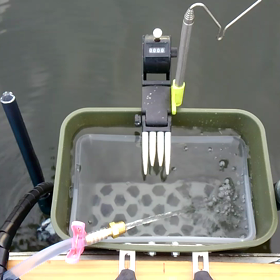 良い感じ♪の画像