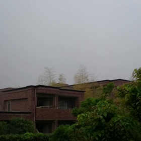 やっぱり・・・・☔が降ってきたの画像