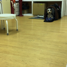 楽しそうにやってますわ。の画像