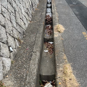 知らんけどぉ〜の画像