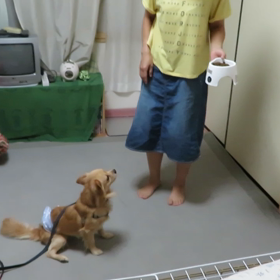 お座りの画像