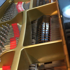 幼稚園クラスのリトミックの画像