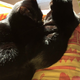 初めての忘れ物。の画像