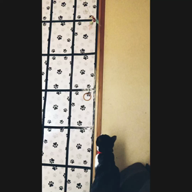 ジャンプ！！の画像