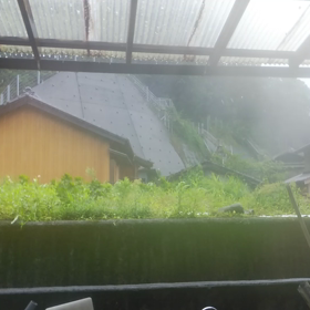 台風21号は尾鷲にきて最大の画像