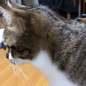 食事中にうんこの話をされて…最後の最後まで腹が立つ！突撃回避？マリさんの画像