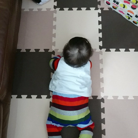 ずりばい(その2)の画像