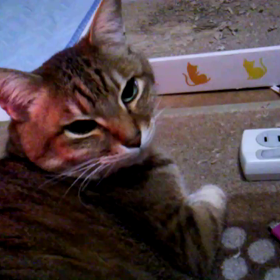 ひたすら待つの画像