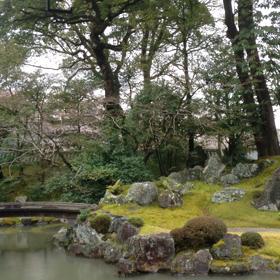 醍醐寺庭園は雨の画像