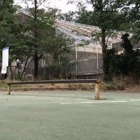 通勤途中のスケート   その2   レールの画像