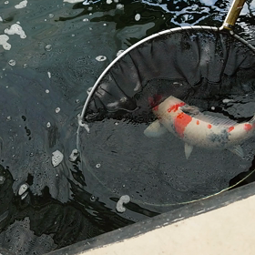 引き取りの画像