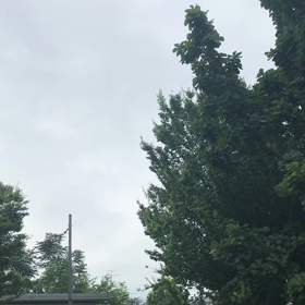 徹夜明け.,.,の画像