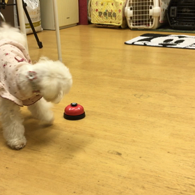 モコ編。の画像