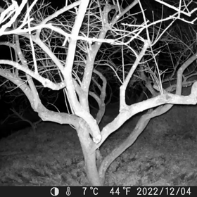 すぎぴたんの事件簿シーズン3　102話（まだ生まれてないかな？）の画像