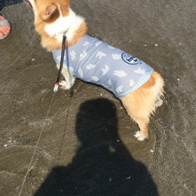 お休み4日目☆水遊び海編の画像