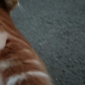 今天的你們之二の画像