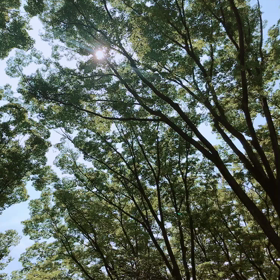 どんな時もしていたことの画像