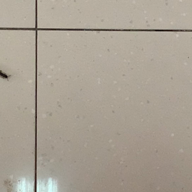 空港にての画像