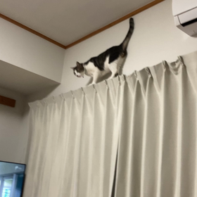 戻れない⁈の画像