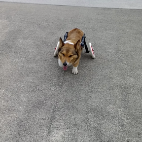 暑くなってきたのでの画像