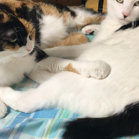 うつるんです♪の画像