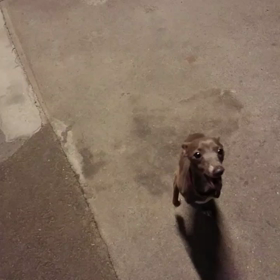 マイペースマー君の画像