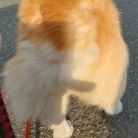 今日の１秒の画像