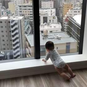 高いところが好き。の画像