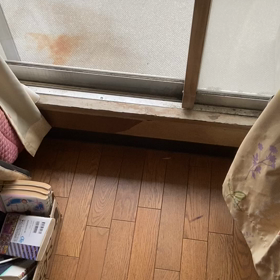 女大丈夫？の画像